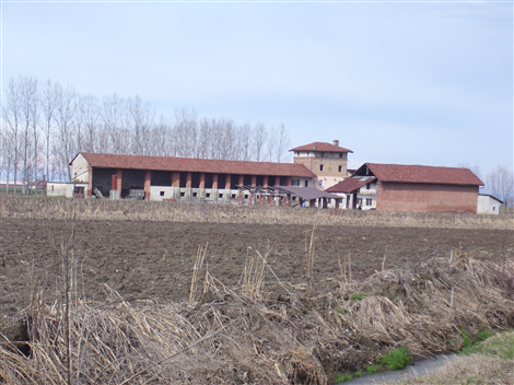 Cascina il Palazzaccio_1 detta Cassin-a Palasass