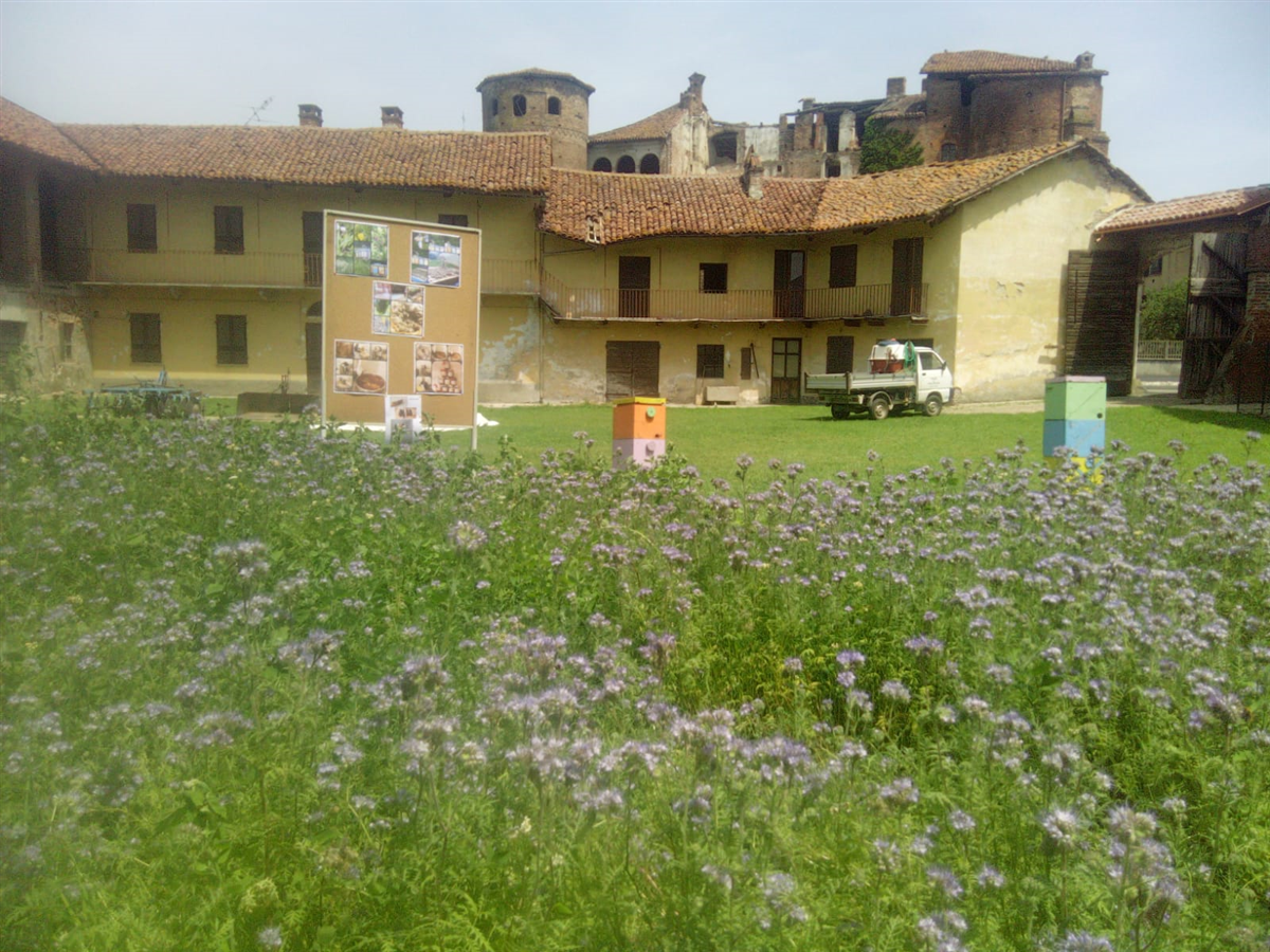 LE NOSTRE AMICHE API
