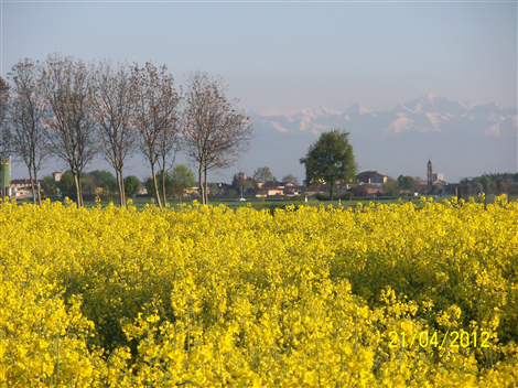 Panoramica