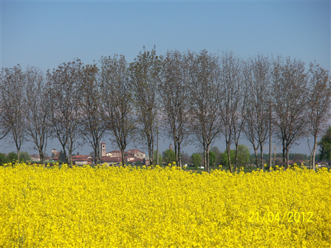 Panoramica