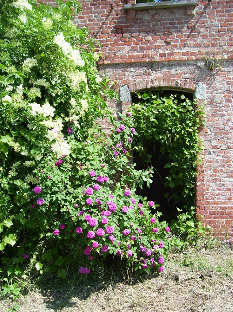 Cascine Storiche